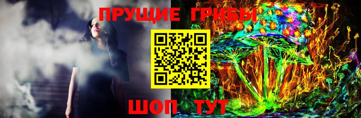 Псилоцибиновые грибы Psilocybine cubensis Дедовск